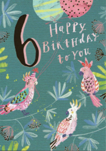 Picture of 6 BIRTHDAY CARD PAROTS